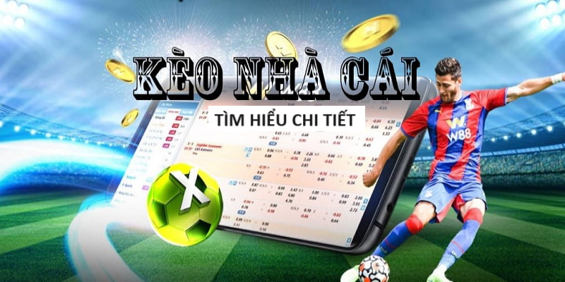 Các Cổng Game Cá Cược Uy Tín - So Sánh Cổng Game An Toàn